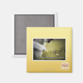 Doom op jezelf magneet (Voorkant / Achterkant)