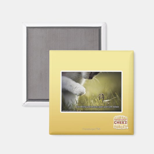 Doom op jezelf magneet (Voorkant / Achterkant)