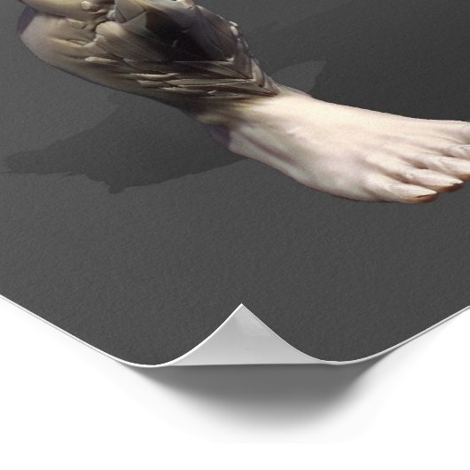 Doomsday Turnround Poster (Hoek)