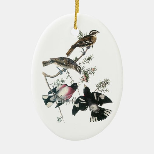 Door Audubon geplet roos Grosbeak Keramisch Ornament (Voorkant)