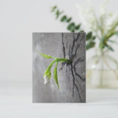 Door beton briefkaart (Staand voorkant)