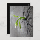 Door beton briefkaart (Voorkant / Achterkant)