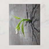 Door beton briefkaart (Voorkant)