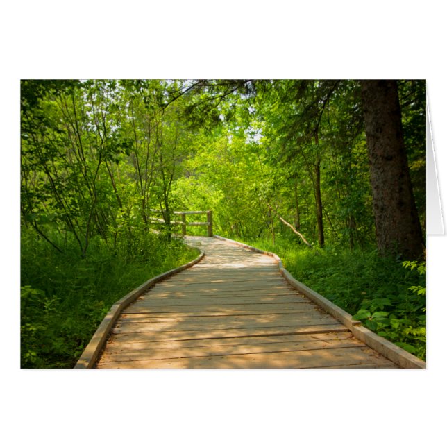 Door bomen bepaald pad (Voorkant Horizontaal)