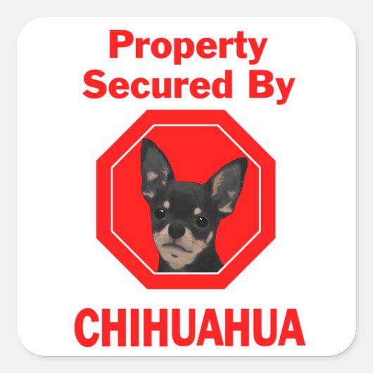 Door Chihuahua beveiligde eigendommen Vierkante Sticker (Voorkant)