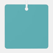 Door County Postcard Map Ornament (Achterkant)