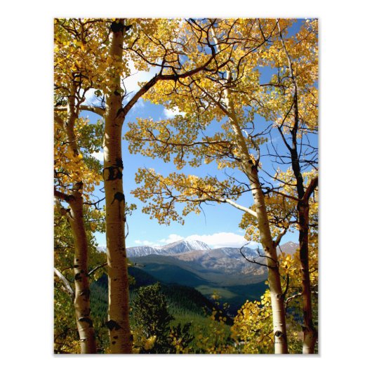 Door de Aspen Foto Afdruk (Voorkant)