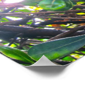 Door de bladeren poster (Hoek)