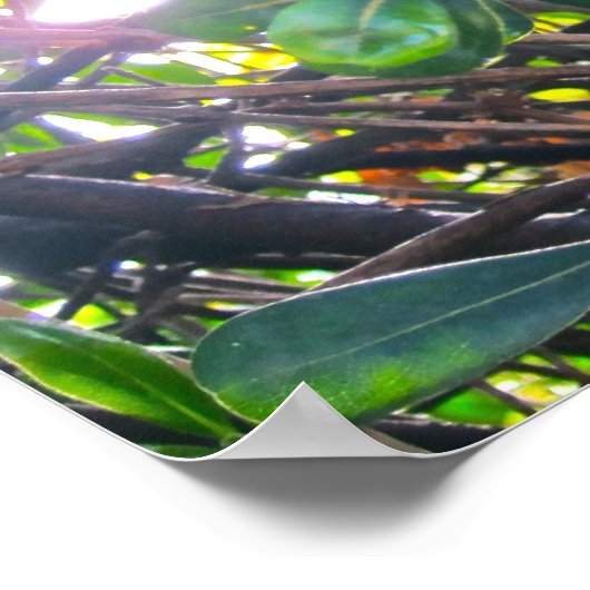 Door de bladeren poster (Hoek)