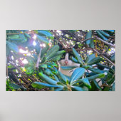 Door de bladeren poster (Voorkant)