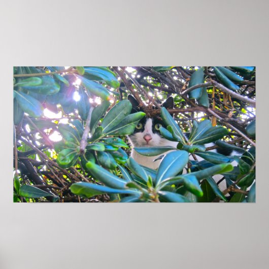 Door de bladeren poster (Voorkant)