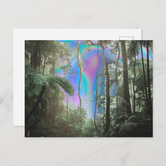 Door de bomen briefkaart (Voorkant / Achterkant)