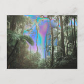 Door de bomen briefkaart (Voorkant)