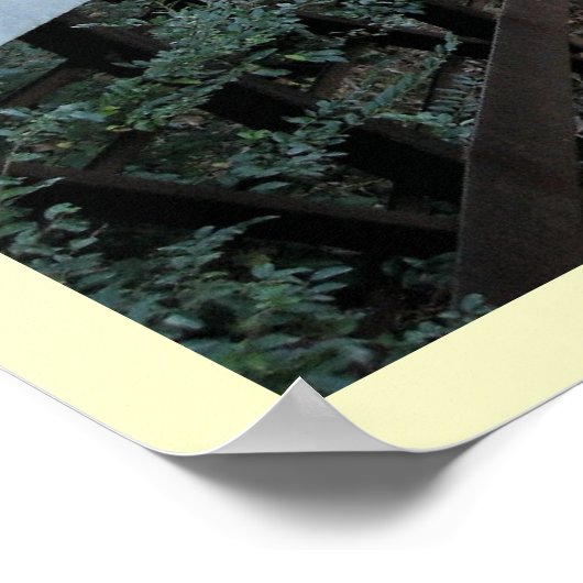 Door de Bossen Poster (Hoek)