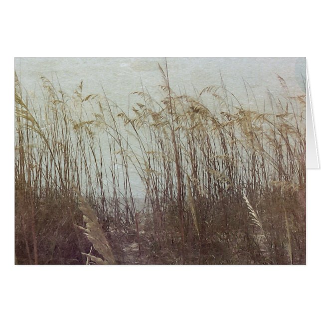 Door de Dunes II (Voorkant Horizontaal)