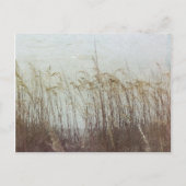 Door de Dunes II Briefkaart (Voorkant)