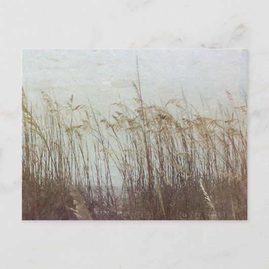 Door de Dunes II Briefkaart (Voorkant)