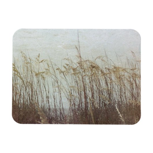 Door de Dunes II Magneet (Horizontaal)