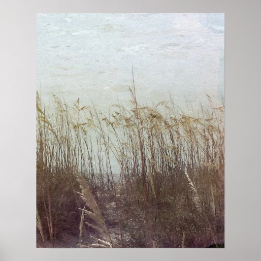 Door de Dunes II Poster (Voorkant)