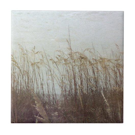 Door de Dunes II Tegeltje (Voorkant)