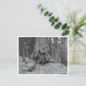 Door de grote boom wawona briefkaart (Staand voorkant)