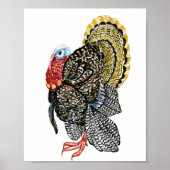 Door de hand getrokken afbeelding van kalkoenen poster (Voorkant)