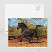 Door de herfstbladeren briefkaart (Voorkant / Achterkant)