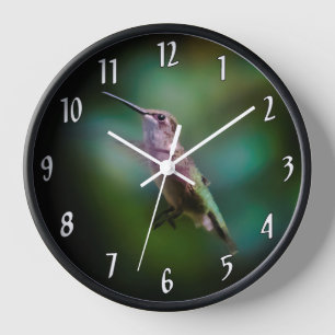 Door de huid geworpen Hummingbird - Originele Foto