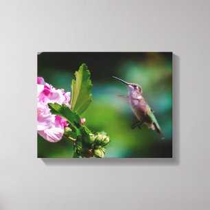 Door de huid geworpen Hummingbird - Originele Foto Canvas Afdruk