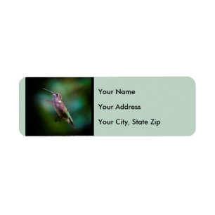 Door de huid geworpen Hummingbird - Originele Foto Etiket