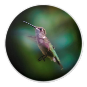 Door de huid geworpen Hummingbird - Originele Foto Keramische Knop
