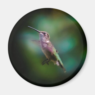 Door de huid geworpen Hummingbird - Originele Foto Magneet