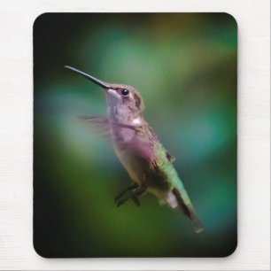 Door de huid geworpen Hummingbird - Originele Foto Muismat