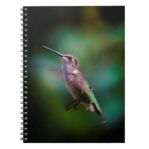 Door de huid geworpen Hummingbird - Originele Foto Notitieboek