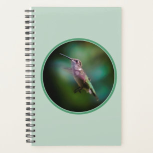 Door de huid geworpen Hummingbird - Originele Foto Planner