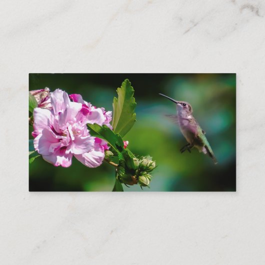 Door de huid geworpen Hummingbird - Originele Foto Visitekaartje (Achterkant)