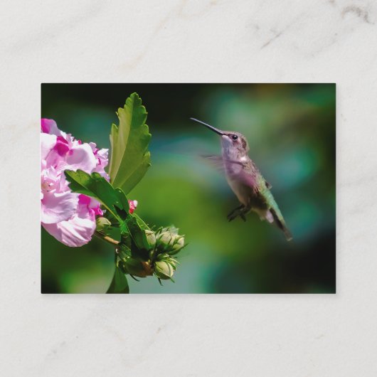 Door de huid geworpen Hummingbird - Originele Foto Visitekaartje (Achterkant)