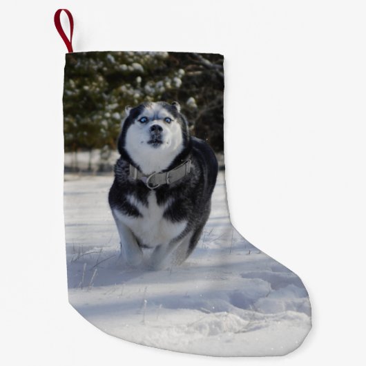 Door de kerst van Husky stoppen Kleine Kerstsok (Voorkant)