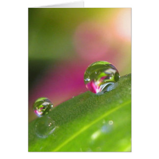 Door de kijkglazen kaart