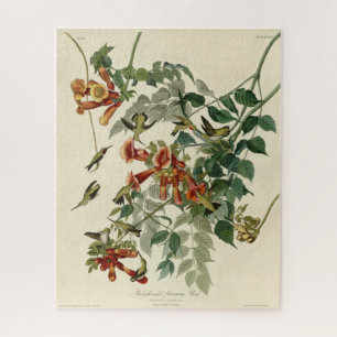 Door de lucht aangedreven vogelgriep, Audubon Bird Legpuzzel