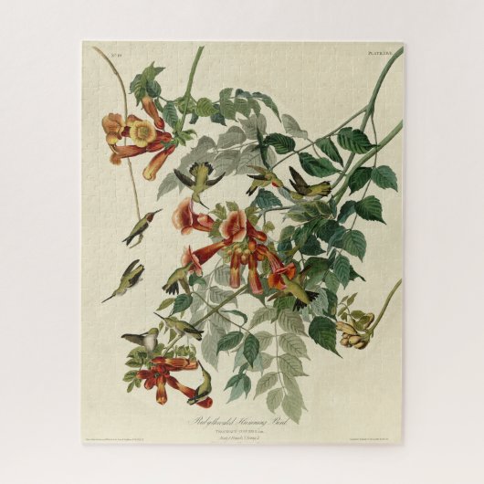 Door de lucht aangedreven vogelgriep, Audubon Bird Legpuzzel (Verticaal)