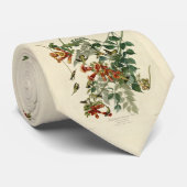 Door de lucht aangedreven vogelgriep, Audubon Bird Stropdas (Opgerold)