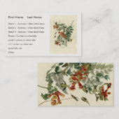 Door de lucht aangedreven vogelgriep, Audubon Bird Visitekaartje (Voorkant / Achterkant)