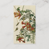 Door de lucht aangedreven vogelgriep, Audubon Bird Visitekaartje (Achterkant)