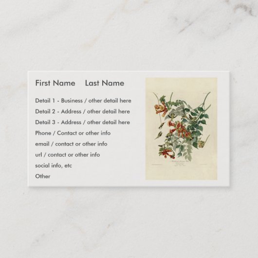 Door de lucht aangedreven vogelgriep, Audubon Bird Visitekaartje (Voorkant)