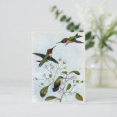 Door de lucht gedreven Hummingvogels Briefkaart (Staand voorkant)