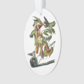 Door de lucht geworpen Hummingbird van Audubon Ornament (voorkant)