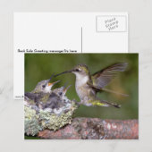 Door de lucht geworpen Hummingbird (vrouw) met jon Briefkaart (Voorkant / Achterkant)