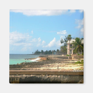 Door de oceaan magneet