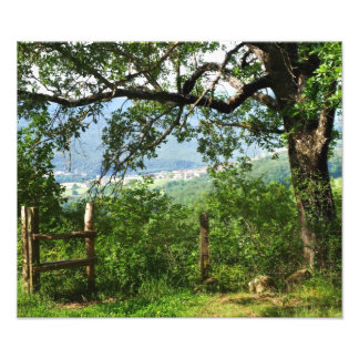 Door de olievlek foto afdruk